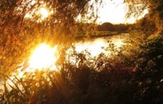 Waterscapes / Seascapes